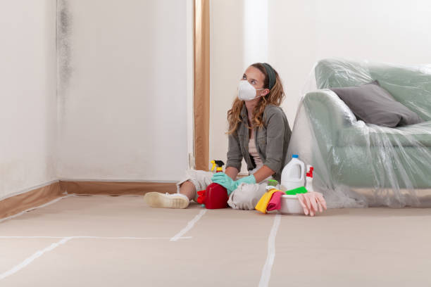 Reliable Mold Remediation contractor in Dumont, NJ by 24 Hour Mold Removal